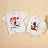 Custom BBQ Grill Birthday Matching Family Shirts, Daddy, Mommy, Brother & Baby Romper, Personalized 1st Birthday Outfit for Party Fun