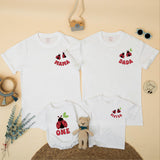 Custom Ladybug Matching Family Shirts for 1st Birthday Girl, Soft Cotton Mama Dada Sister Romper Set for Milestone Photos & Celebrations