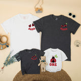 Custom Ladybug Matching Family Shirts for 1st Birthday Girl, Soft Cotton Mama Dada Sister Romper Set for Milestone Photos & Celebrations