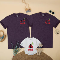 Custom Ladybug Matching Family Shirts for 1st Birthday Girl, Soft Cotton Mama Dada Sister Romper Set for Milestone Photos & Celebrations