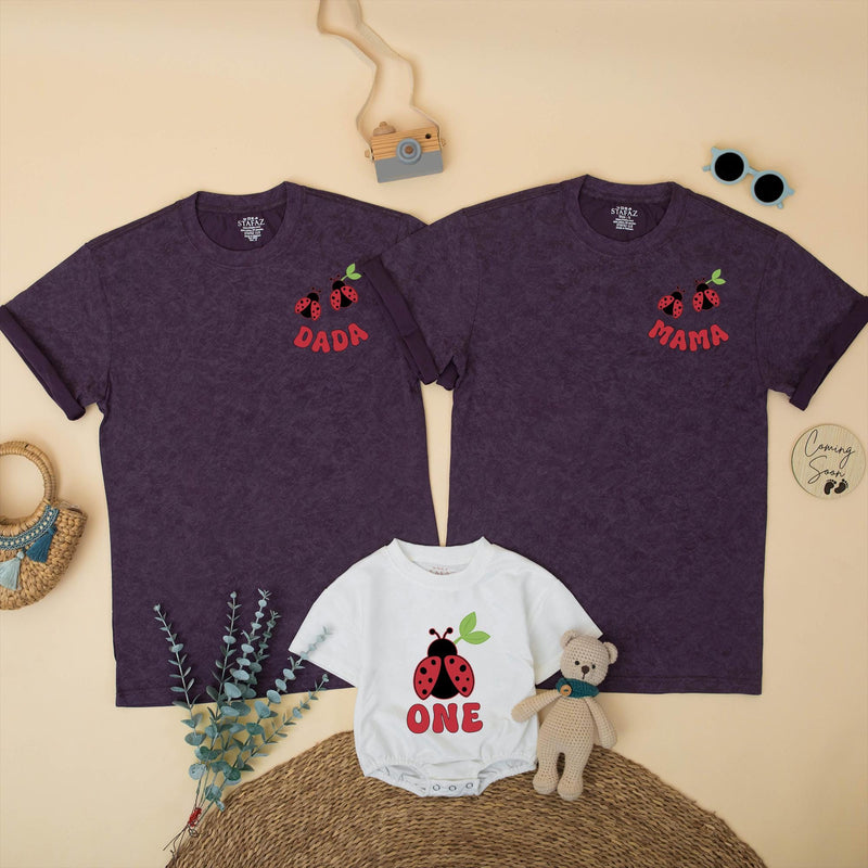 Custom Ladybug Matching Family Shirts for 1st Birthday Girl, Soft Cotton Mama Dada Sister Romper Set for Milestone Photos & Celebrations