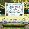 Custom Little Champ Sports-Themed 1st Birthday Silk Banner for Baby Boy, Personalized Name Backdrop Party Decor, Photo Prop Keepsake