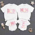 Custom Matching Family Shirts with Silly Goose Artwork for Baby's 1st Birthday, Soft Cotton Romper and Tees, Perfect for Celebrations