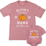 Custom Pumpkin 1st Birthday Matching Family Shirts, Baby Bodysuit & Adult Tees, Soft Cotton Fall Outfit for Milestone Photos NB–2XL