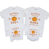 Custom Pumpkin 1st Birthday Matching Family Shirts, Baby Bodysuit & Adult Tees, Soft Cotton Fall Outfit for Milestone Photos NB–2XL