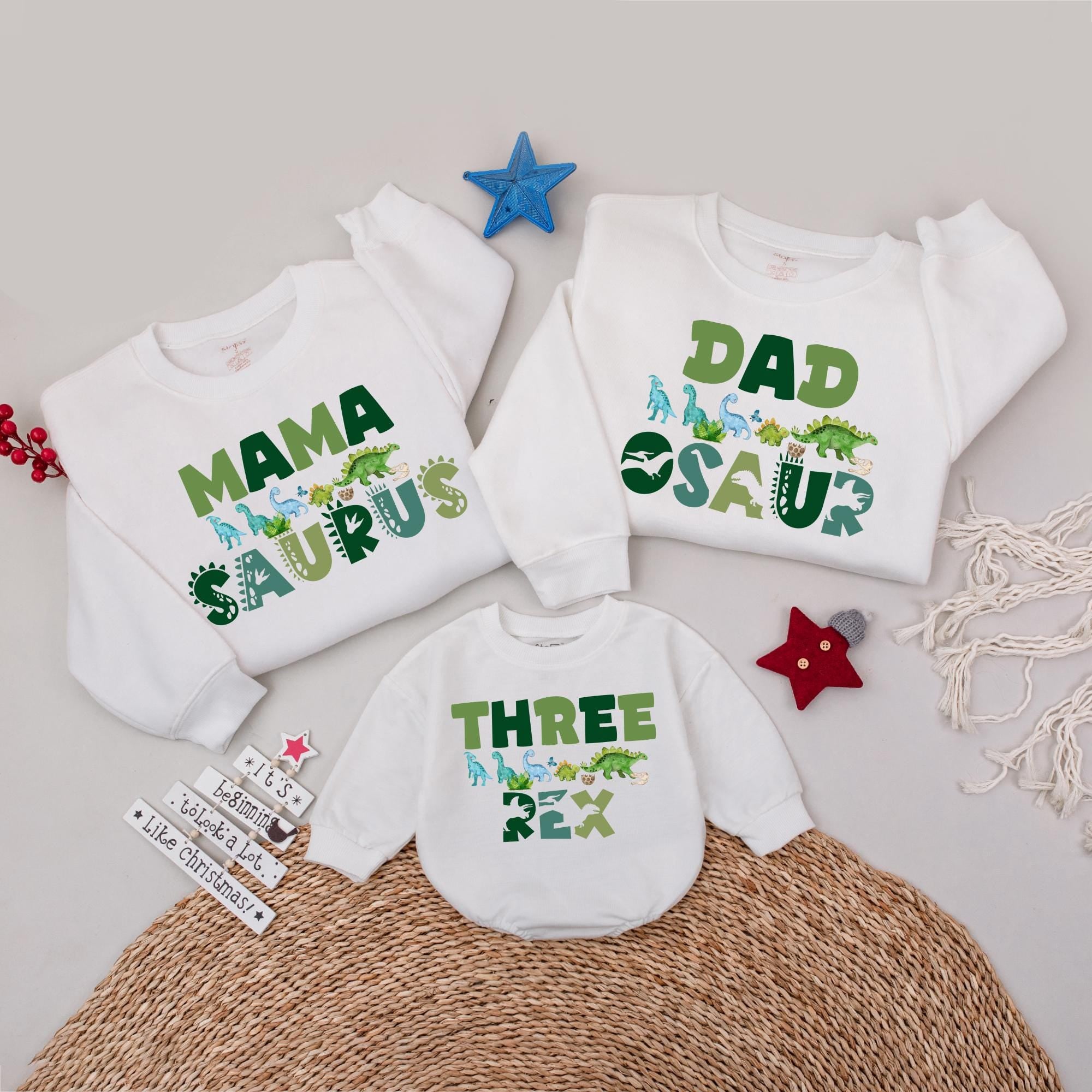 Family Dinosaur Birthday Sweatshirt Set for 3rd Birthday