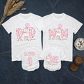 One Silly Goose First Birthday Girl Outfit, Custom Name Romper, Matching Family Party Shirts, Pastel Cartoon Goose Cake Smash Look