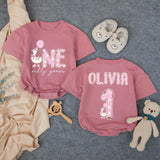 One Silly Goose First Birthday Girl Outfit, Custom Name Romper, Matching Family Party Shirts, Pastel Cartoon Goose Cake Smash Look
