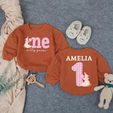 Personalized Baby Girl First Birthday Outfit with Silly Goose Design, Pink Party Hat, Gingham One Romper, Custom Name Cute Celebration Gift