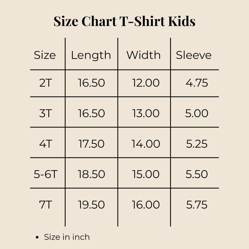 Personalized Big Sis Little Bro Sibling Shirt with Striped Design and Name Customization Pink or Blue Preppy Style Gift Est 2026