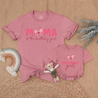 Personalized Butterfly Birthday Matching Family Shirts Sweet Pink Girl Outfit Custom Names Soft Cotton Party Clothes for Mom Dad Sister