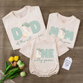 Personalized Goose Family Birthday Shirts with Gingham Letters Mom Dad Baby Outfit Custom Name First Birthday Party Bodysuit Gift