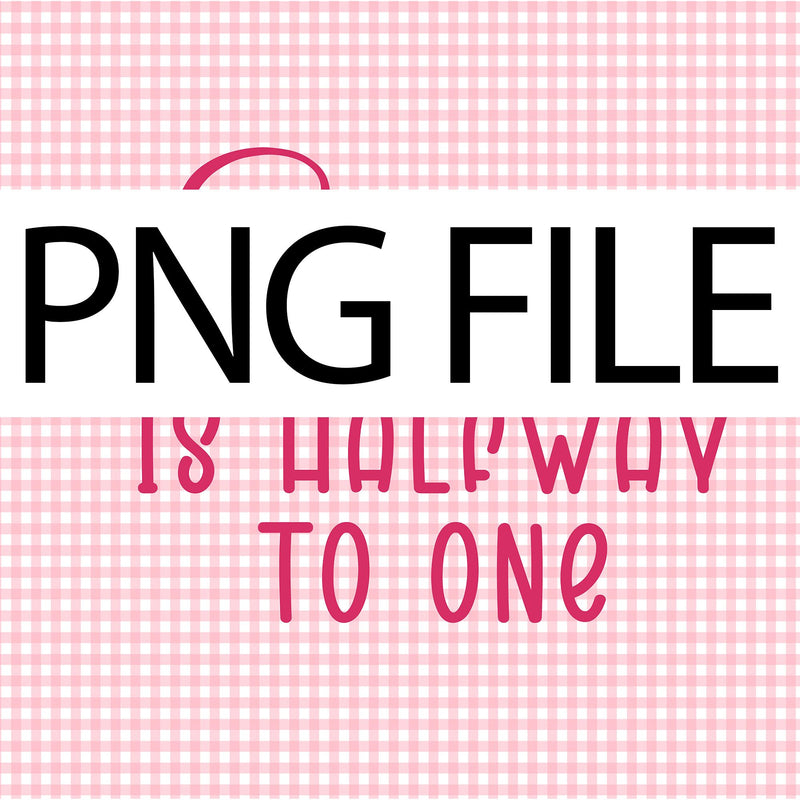 Personalized Pink Gingham Half Birthday Banner for Baby Girl, Custom 6 Month Party Backdrop with Emma Is Halfway to One Design