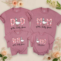 Personalized Silly Goose Birthday Shirt with Cartoon Goose Design Matching Family Outfit for 1st Birthday Party Toddler Baby Gift