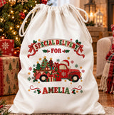 Santa Sack